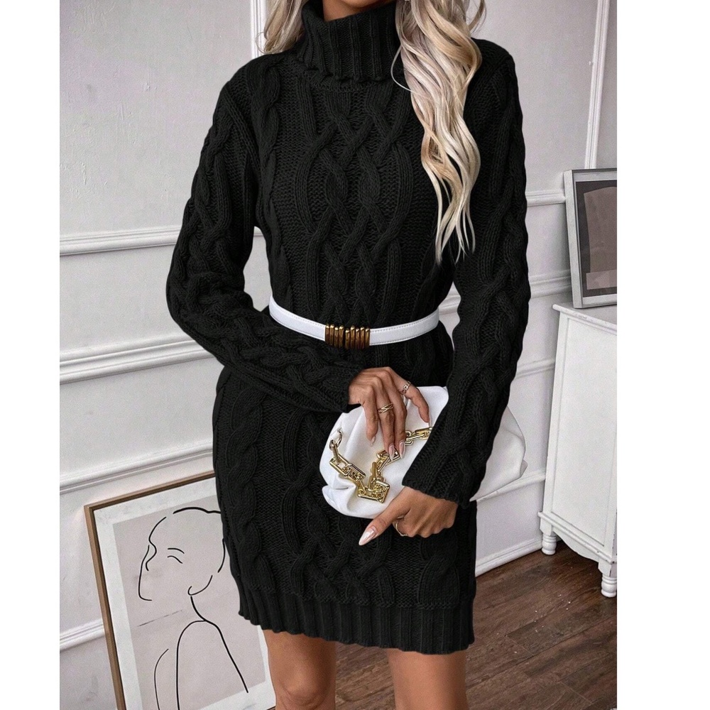 Cozy Solid Turtleneck Chunky Knit Sweater Dress - Picture 7 of 8
